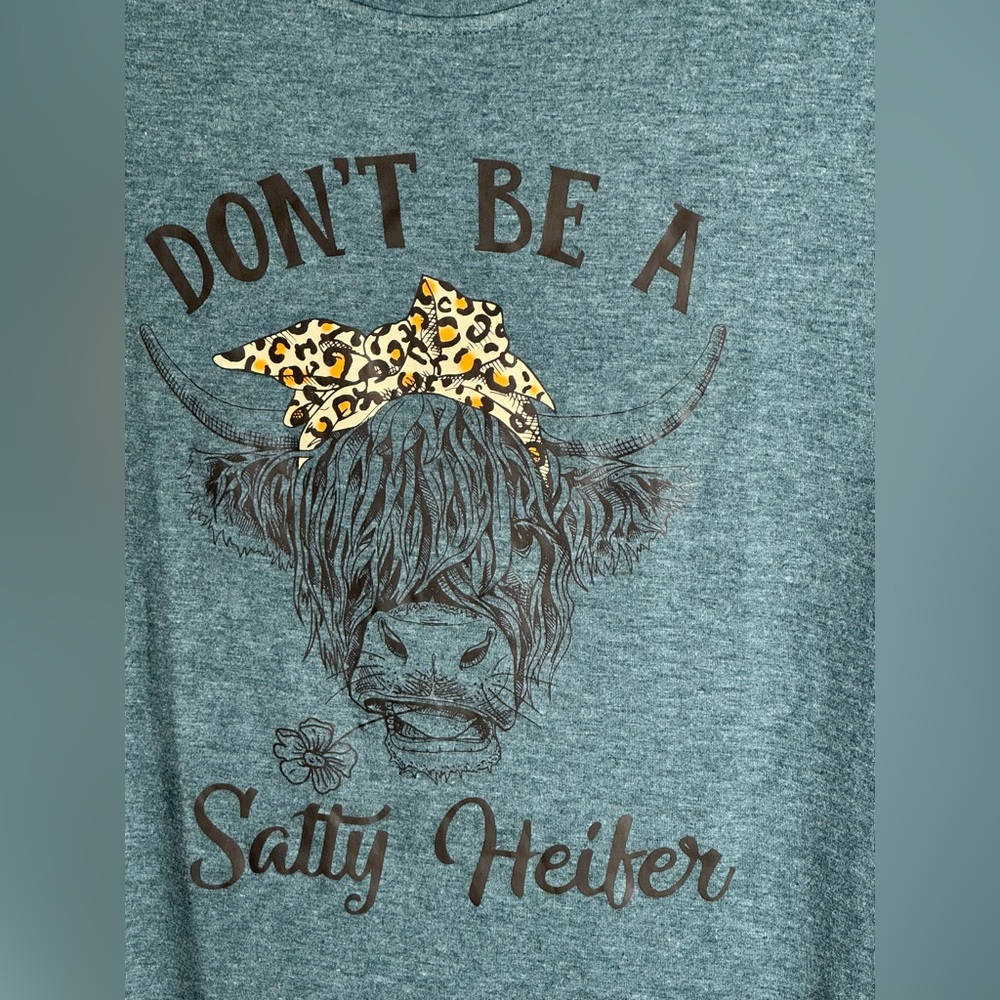 NEW Highland Cow Graphic Tee - Teal Sz M